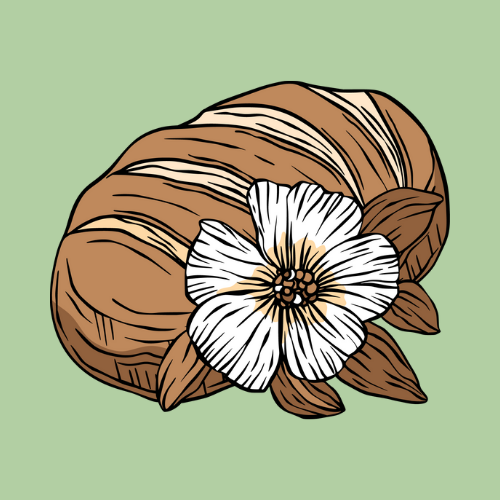 Bread
