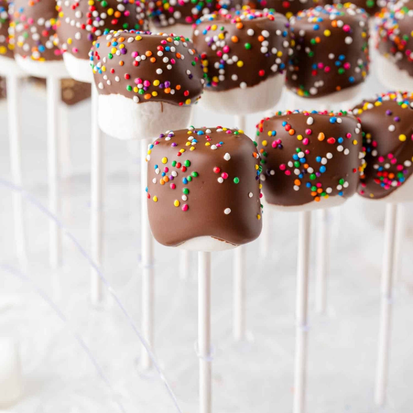 Chocolate Marshmallows